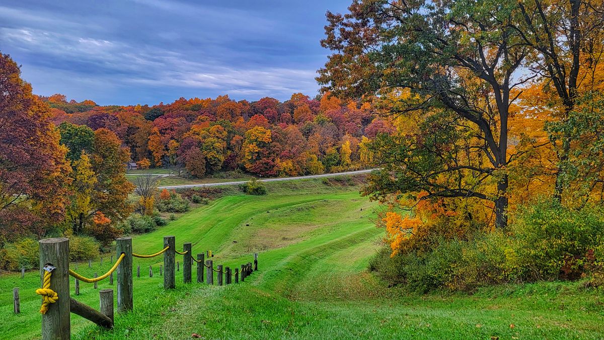 Hole 1 - tee