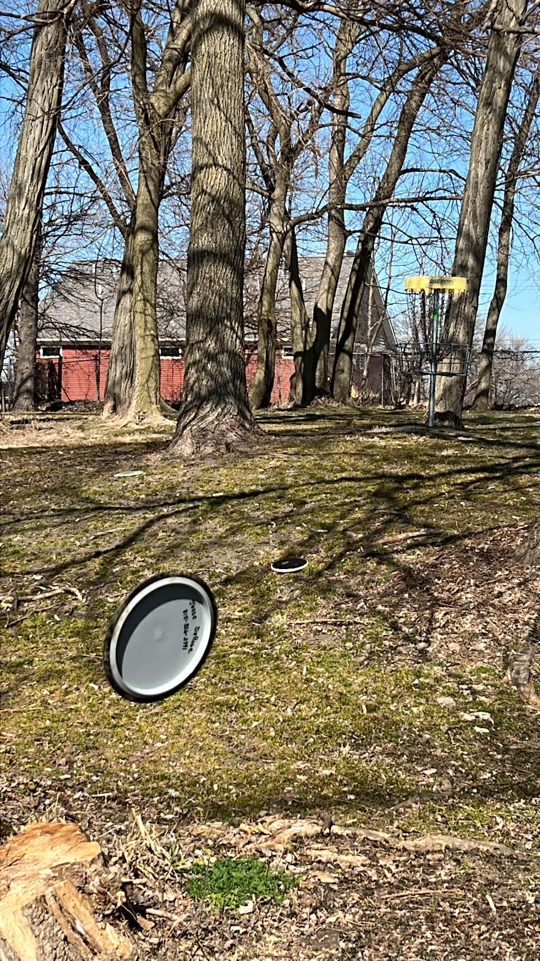 Hole 6 basket