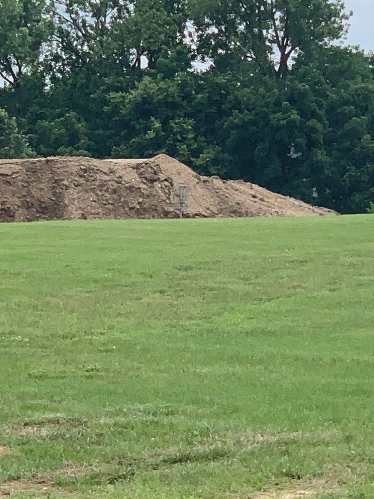 Looking at basket number 8 from tee pad