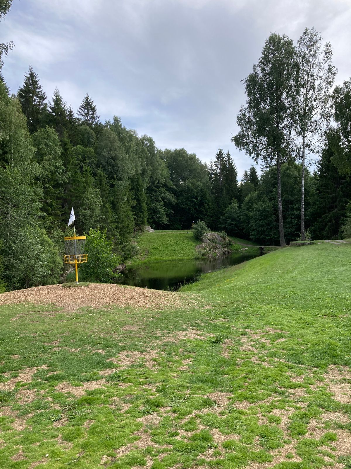 Green of 14 with fairway of #15 in the background 