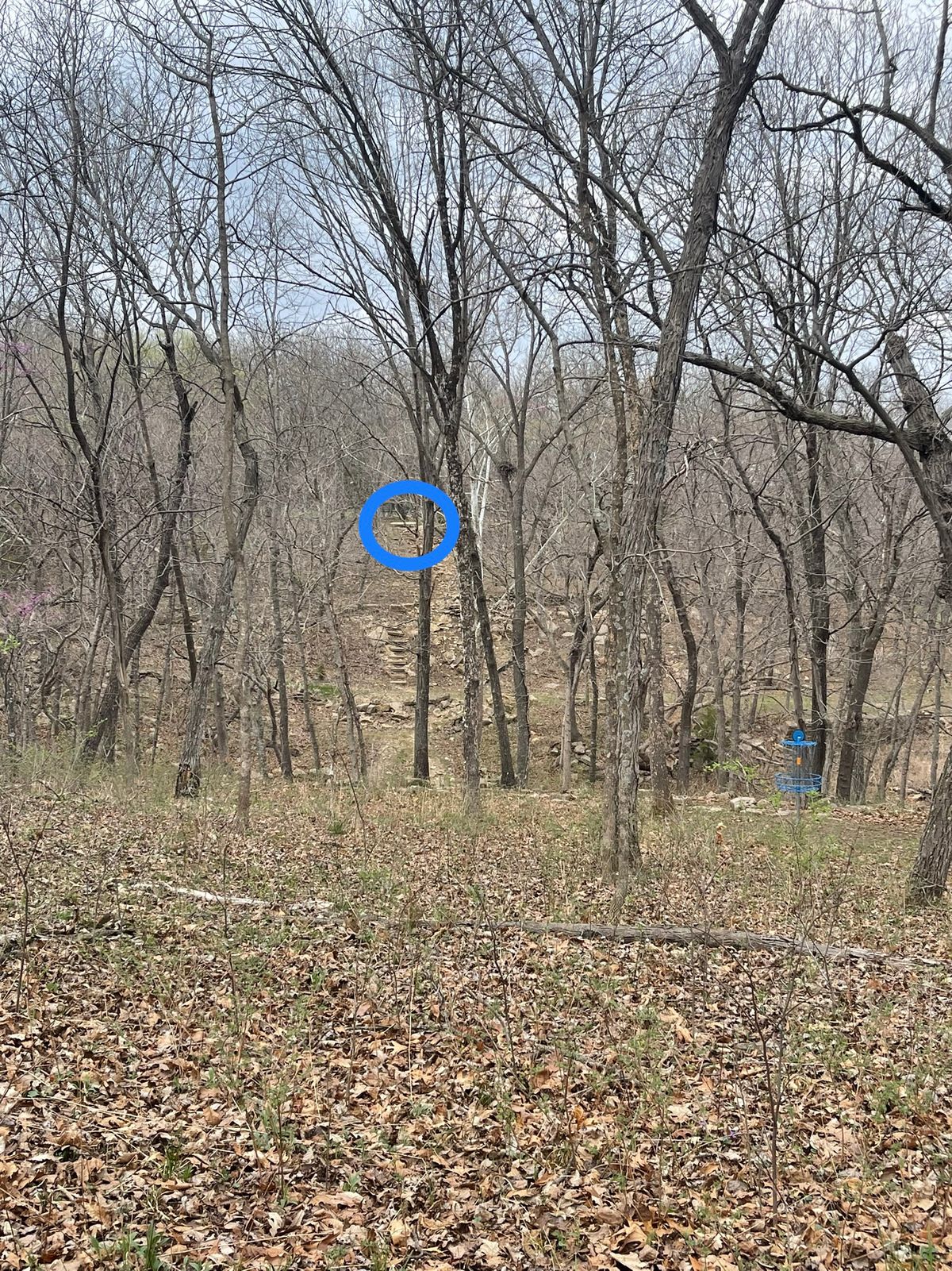 Hole 14 from the pin