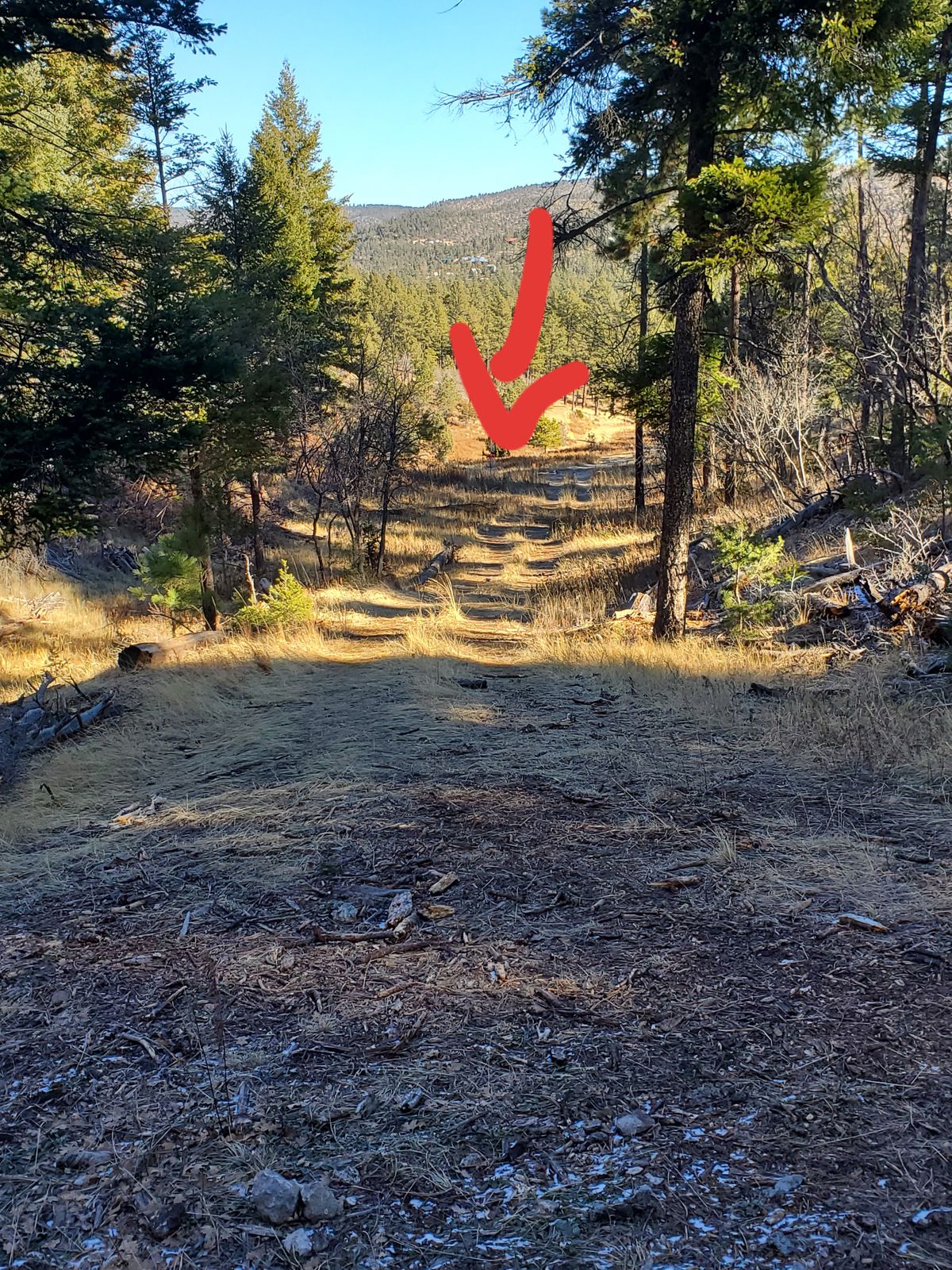 Hole 9 tee