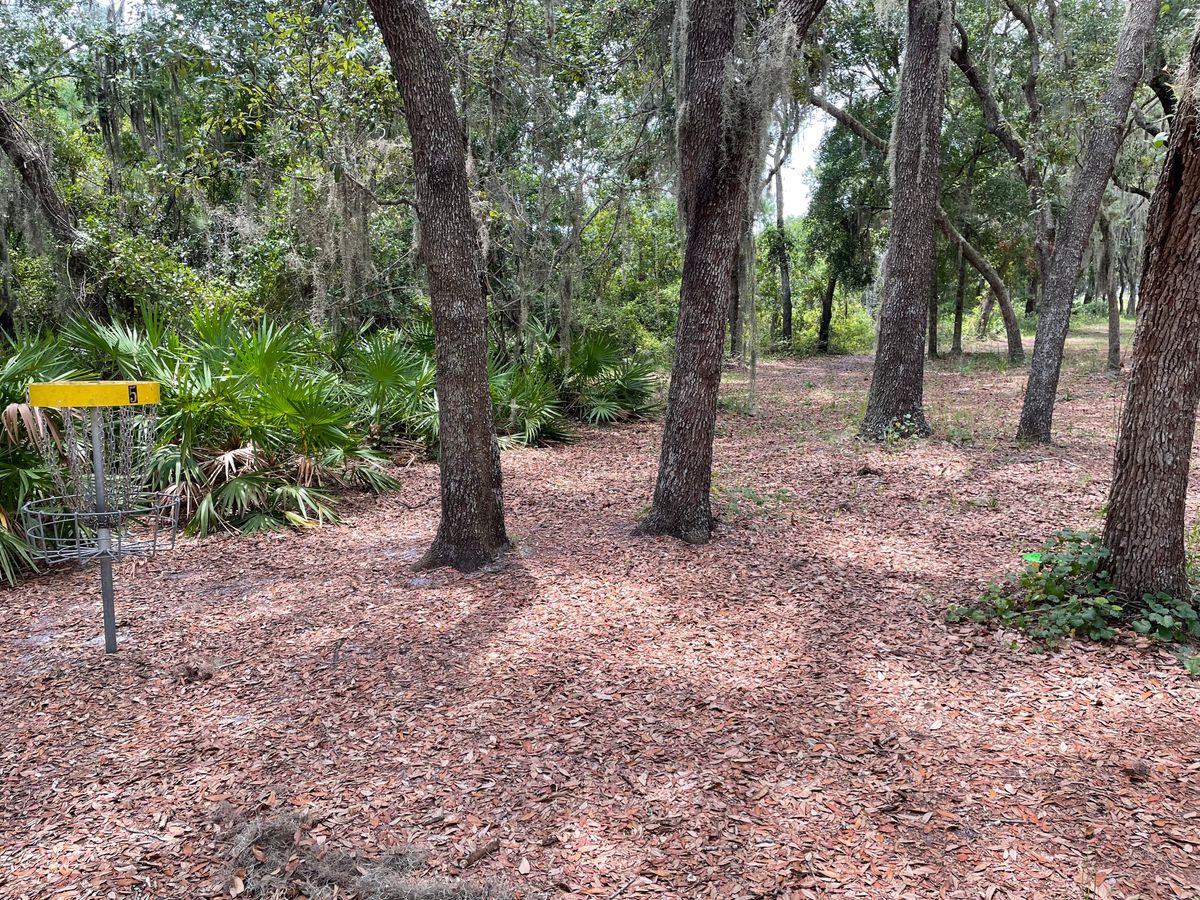 Hole 5