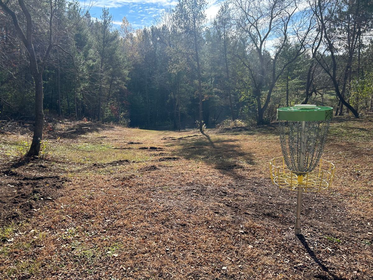 Hole 16 basket, long hole