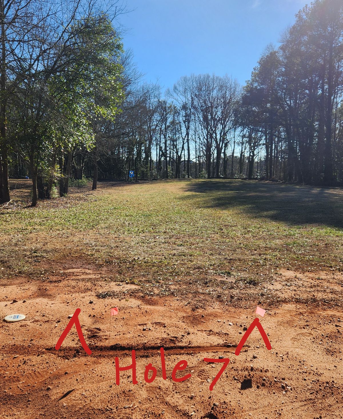Hole 7 long straight hole with basket at the end of the row of trees on left. Wood line past basket is OB