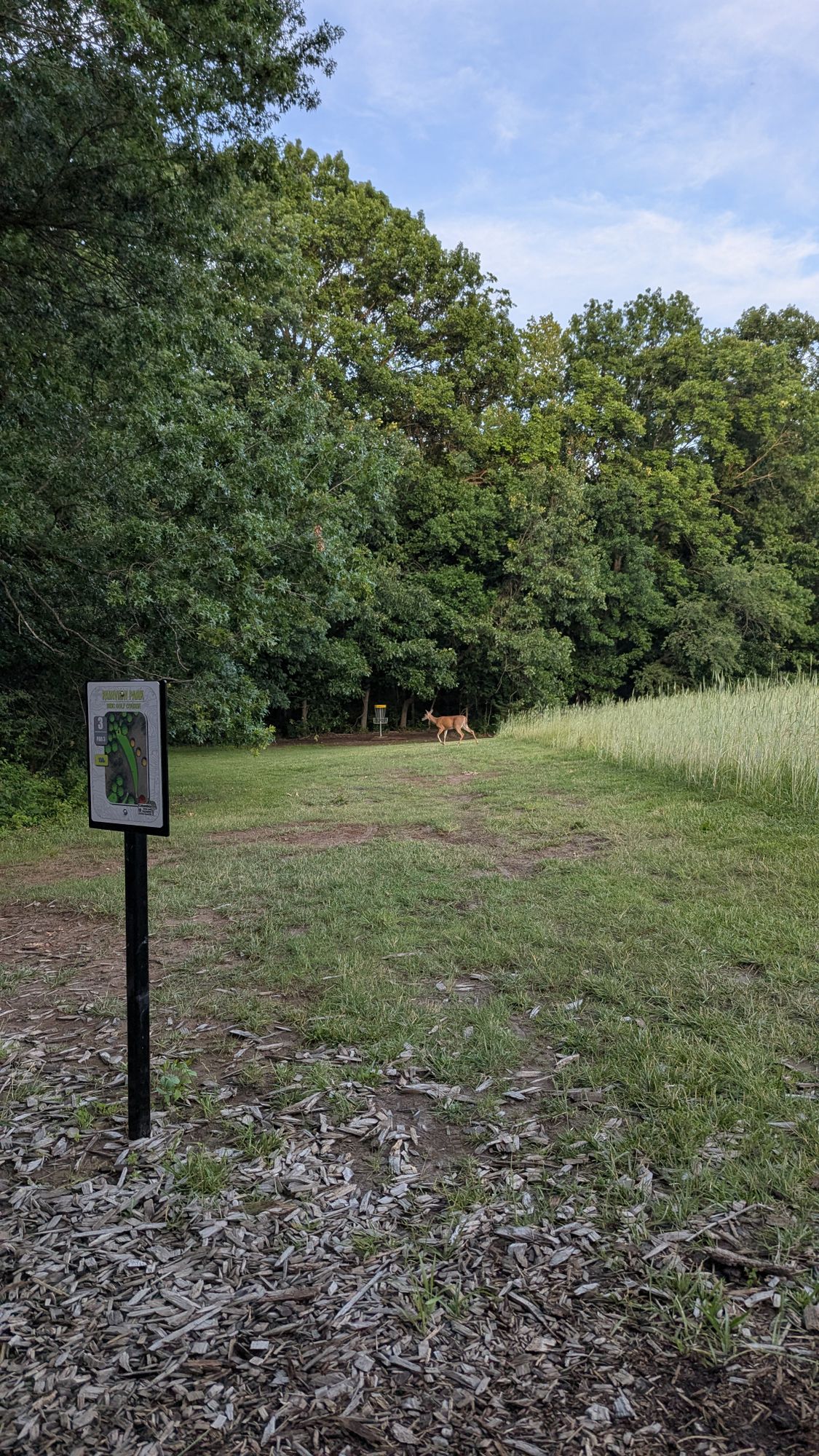 Hole 3