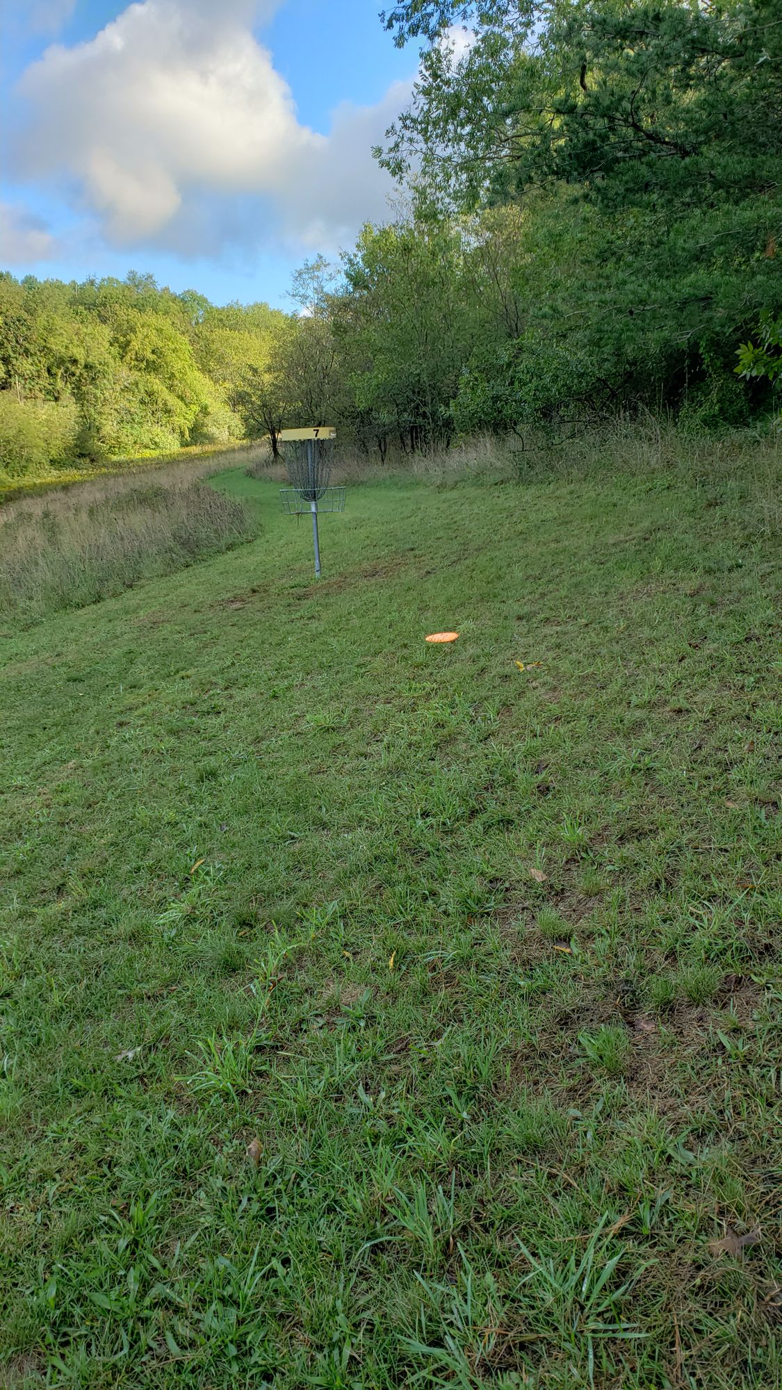 Hole 7 basket
