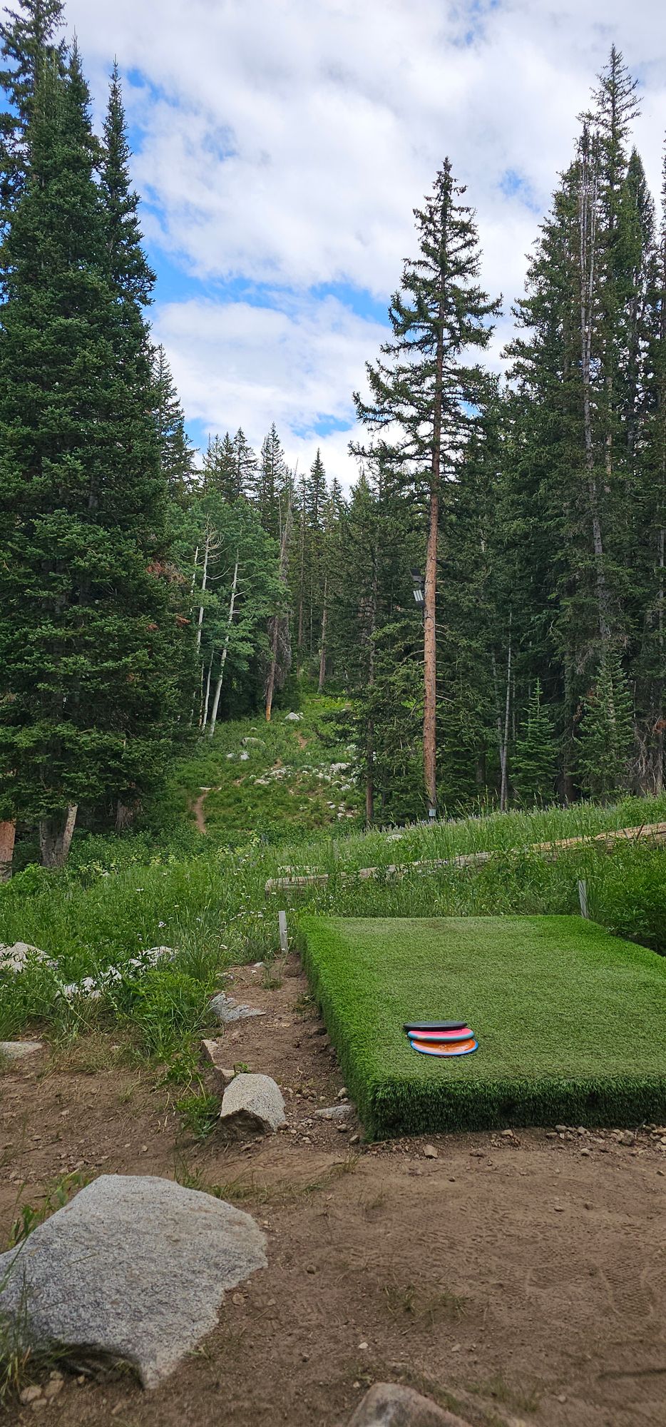 Hole #5