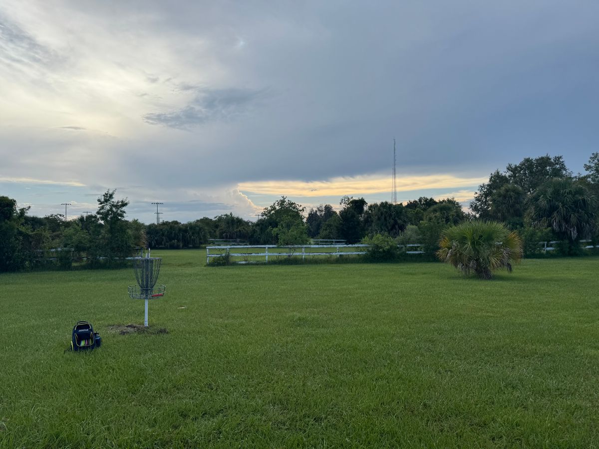 hole 14 basket