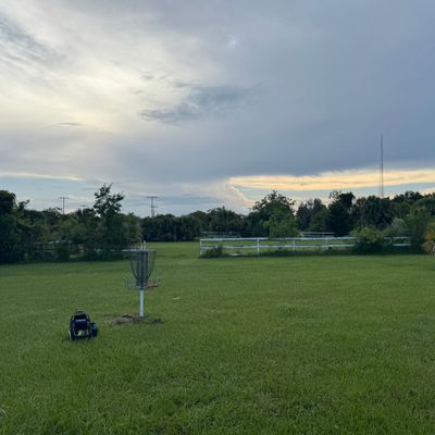hole 14 basket