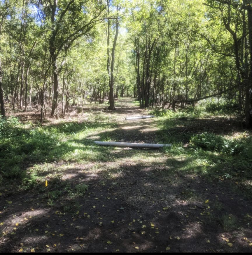 Hole 2 Fairway