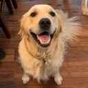 couchpotato101