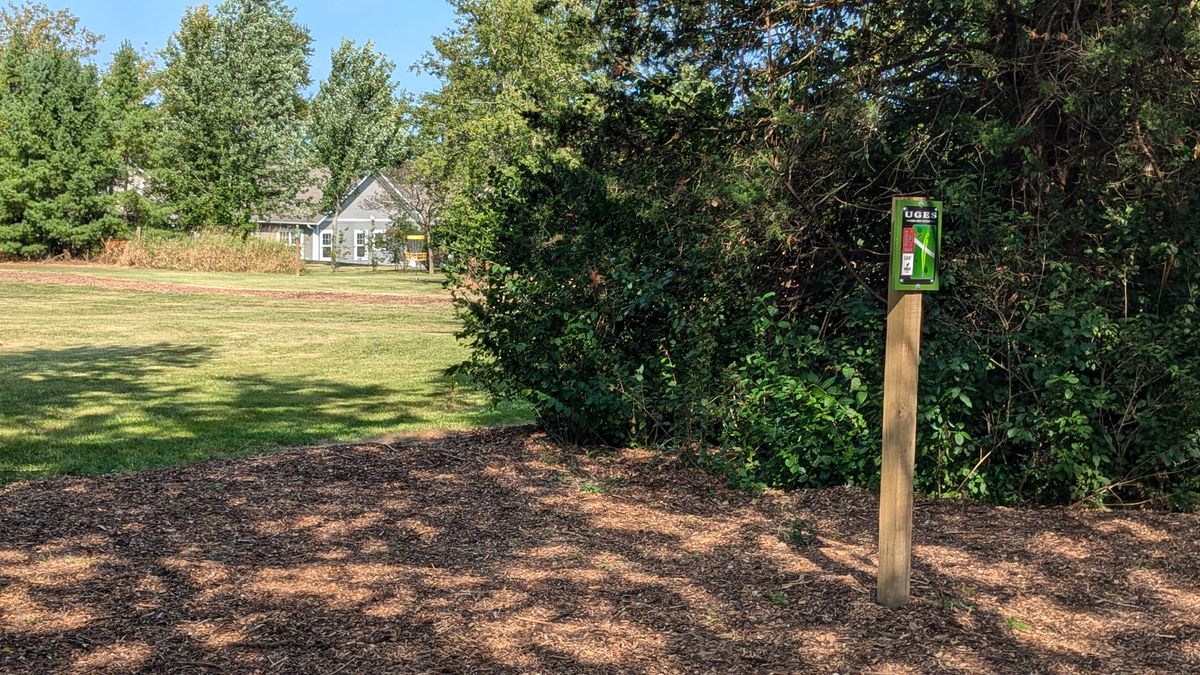 Tee #4 post with basket (yellow) in the distance
