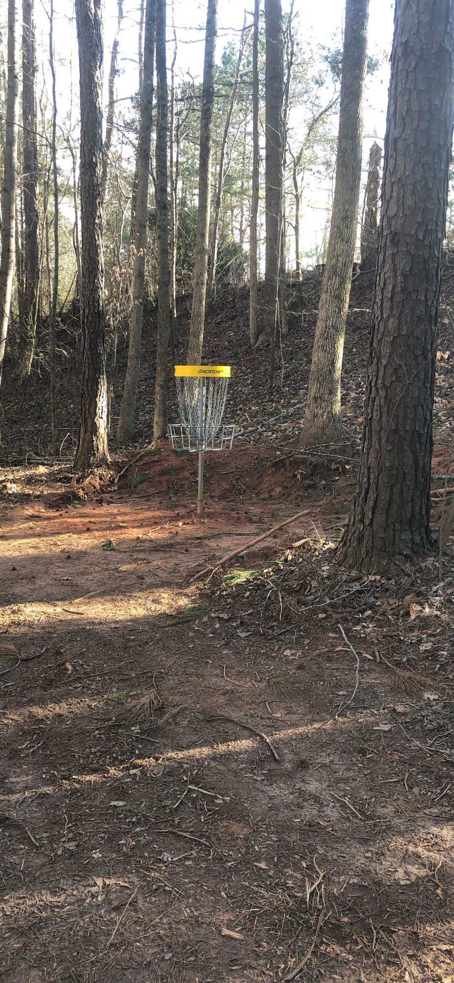 Hole 5 Basket