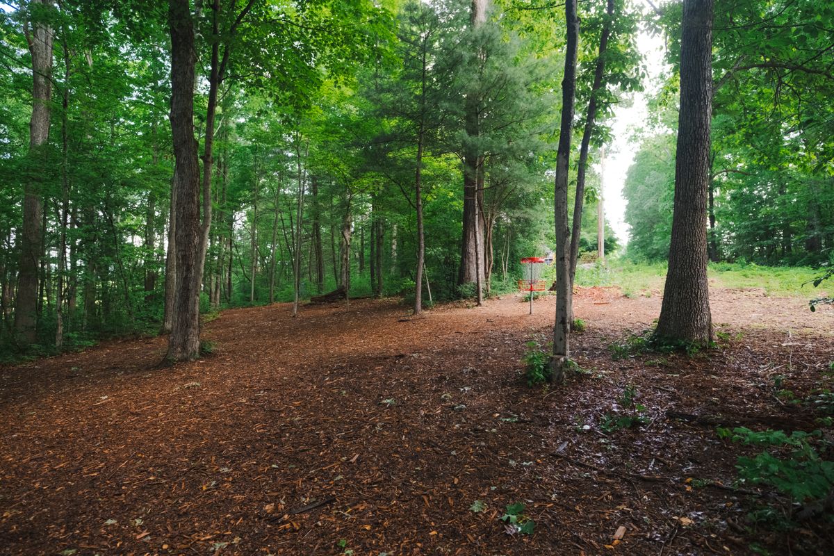 Hole 5 basket