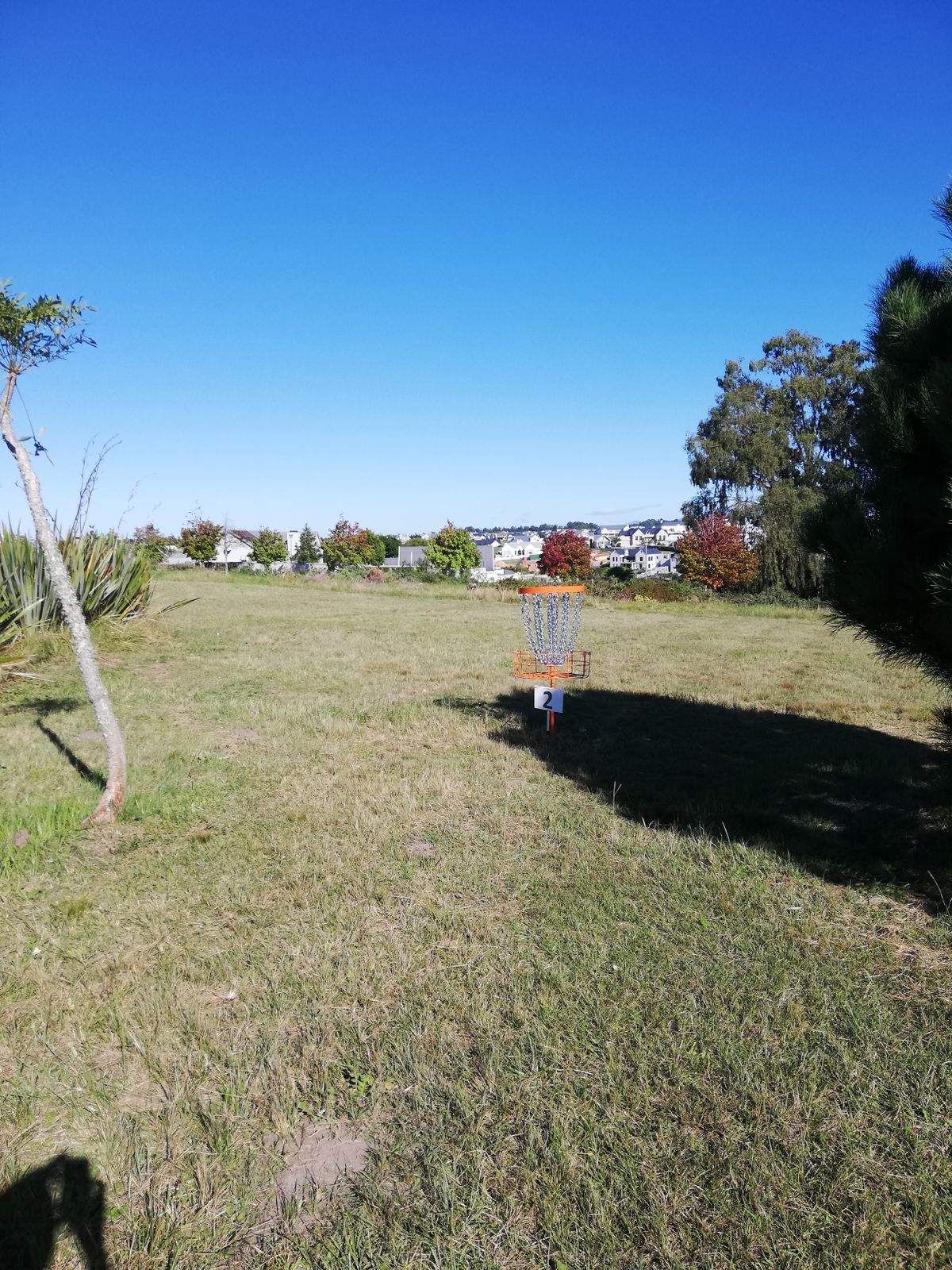 Hole 2 basket.