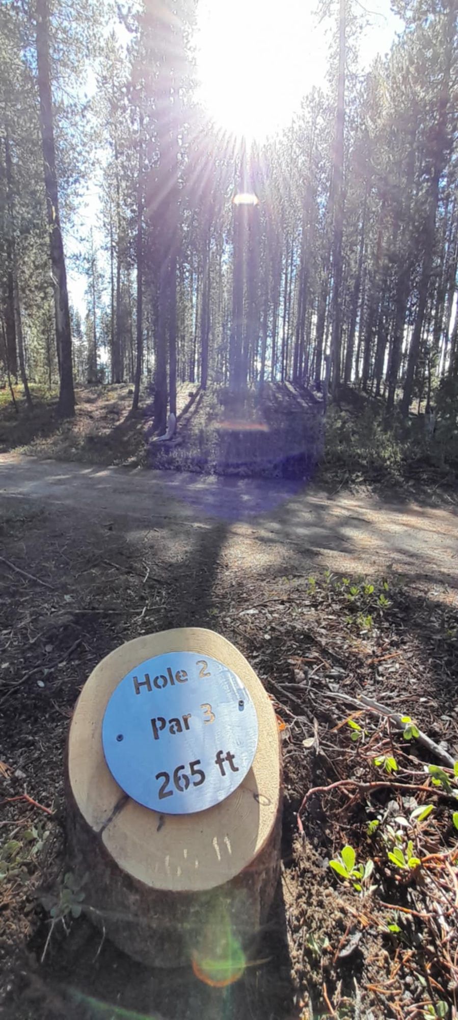 Hole 2