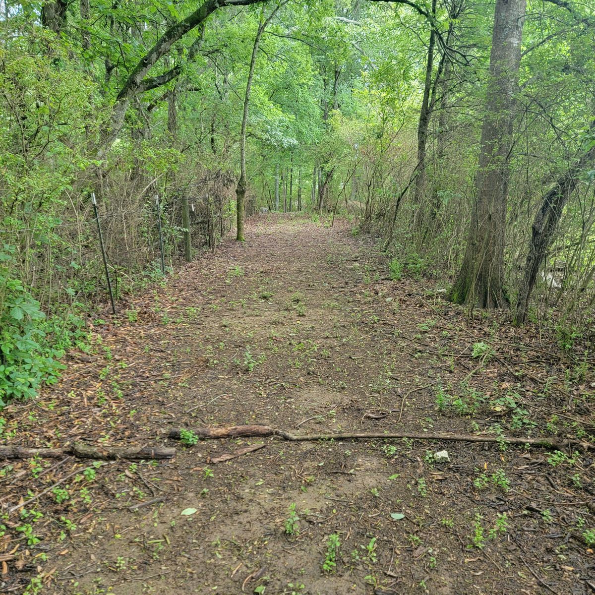 Hole 9 tee pad straight ahead to the red basket