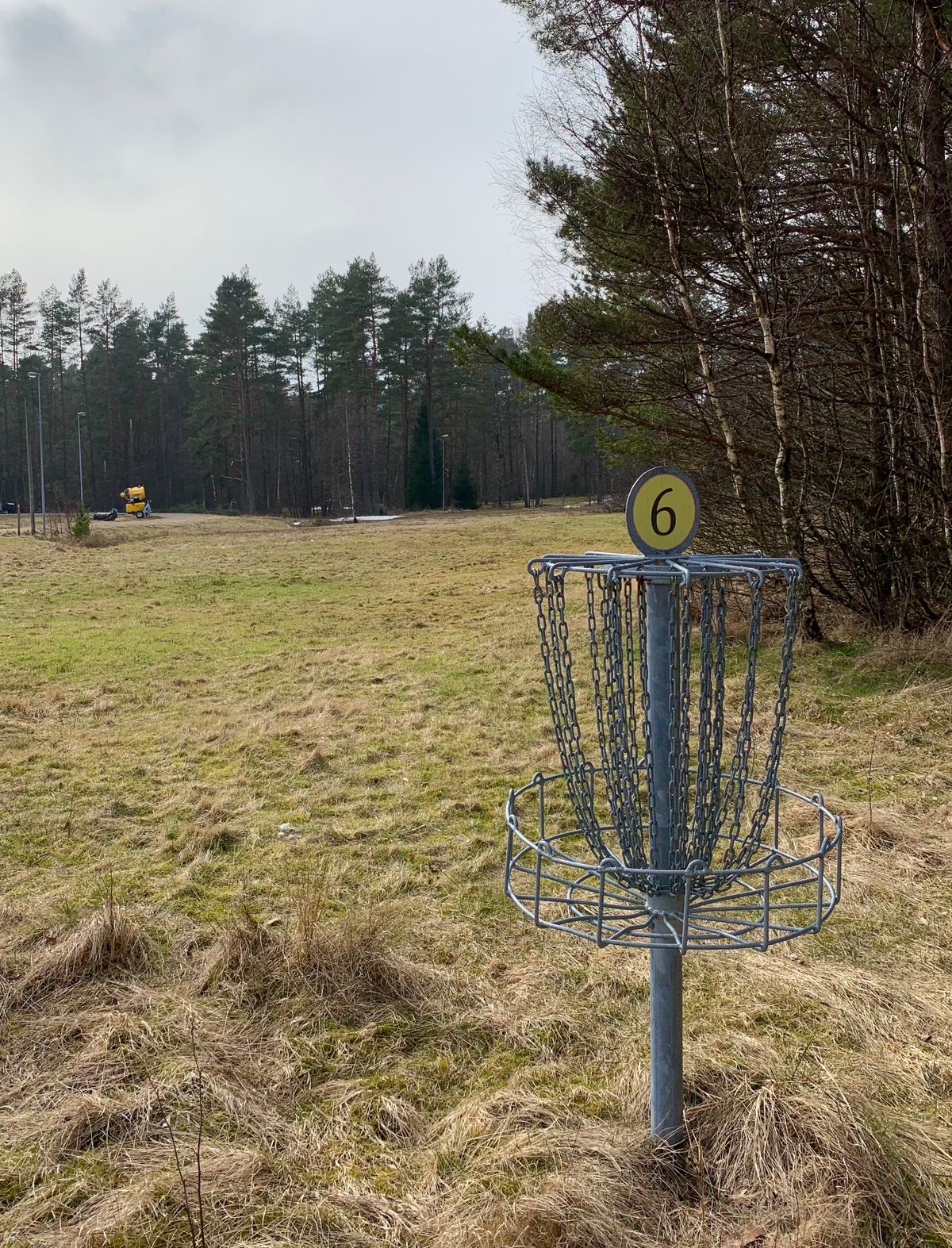 Basket on hole 6