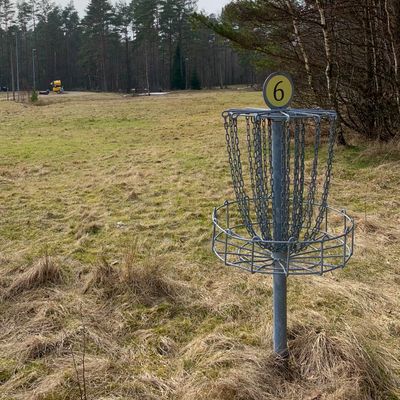 Basket on hole 6