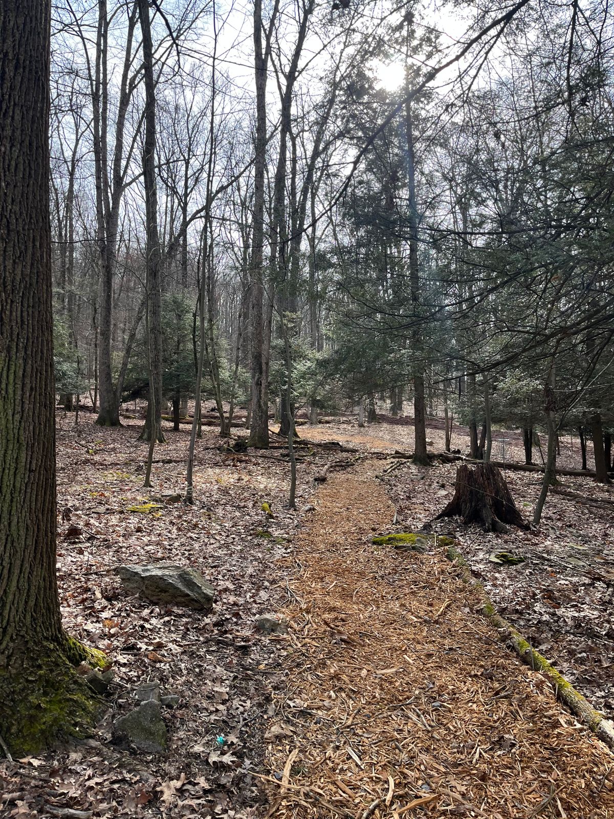 path from hole 15 to 16