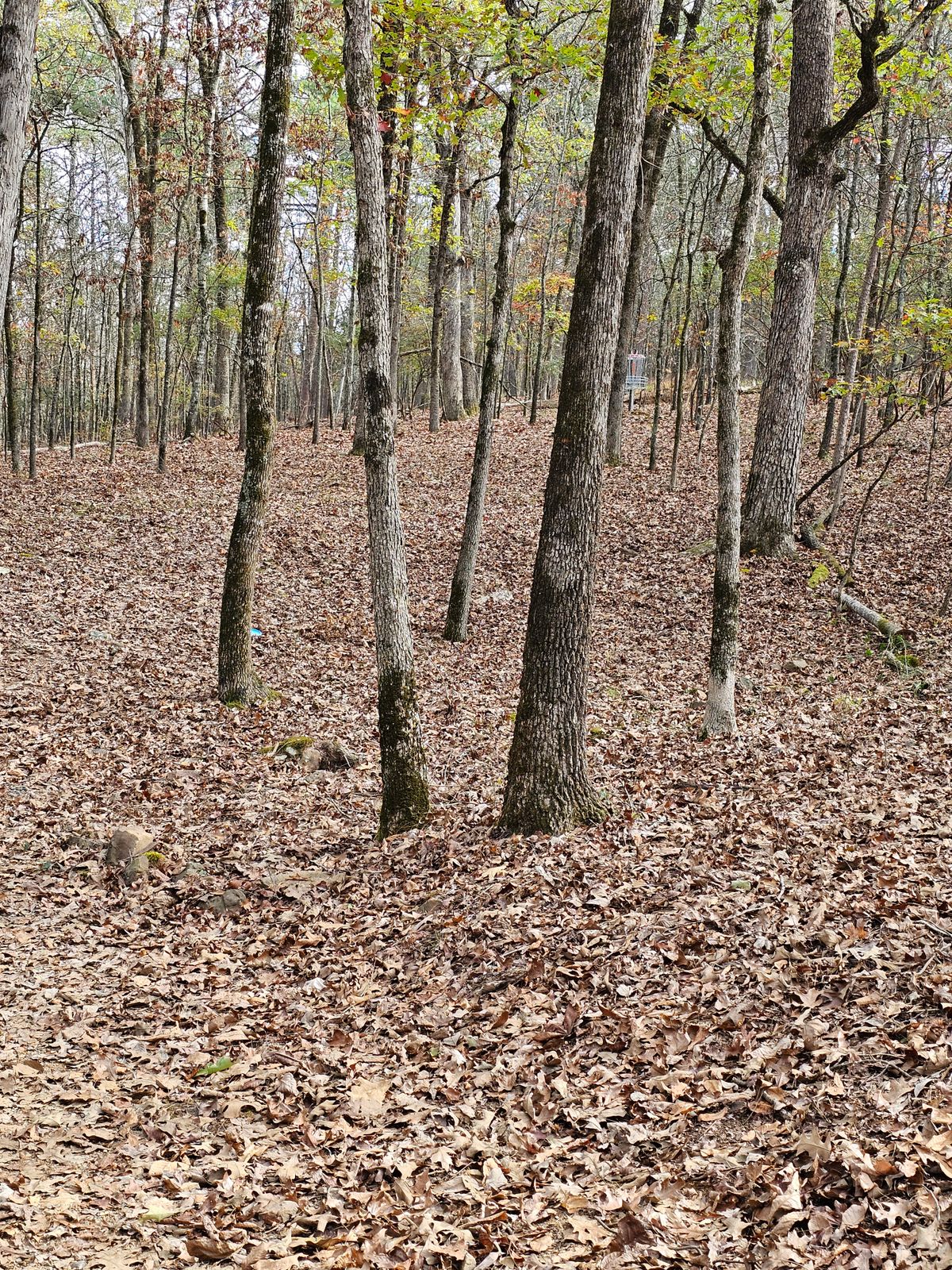 Hole 1