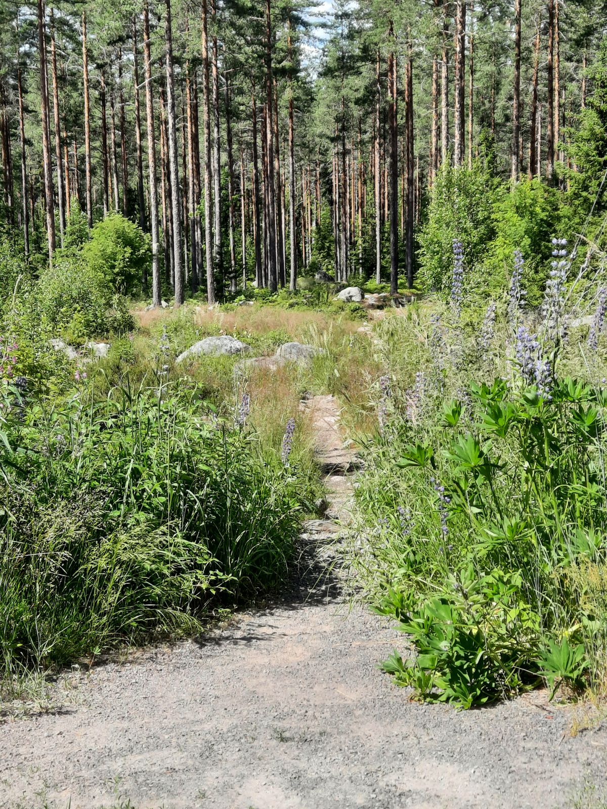 Väylä 9