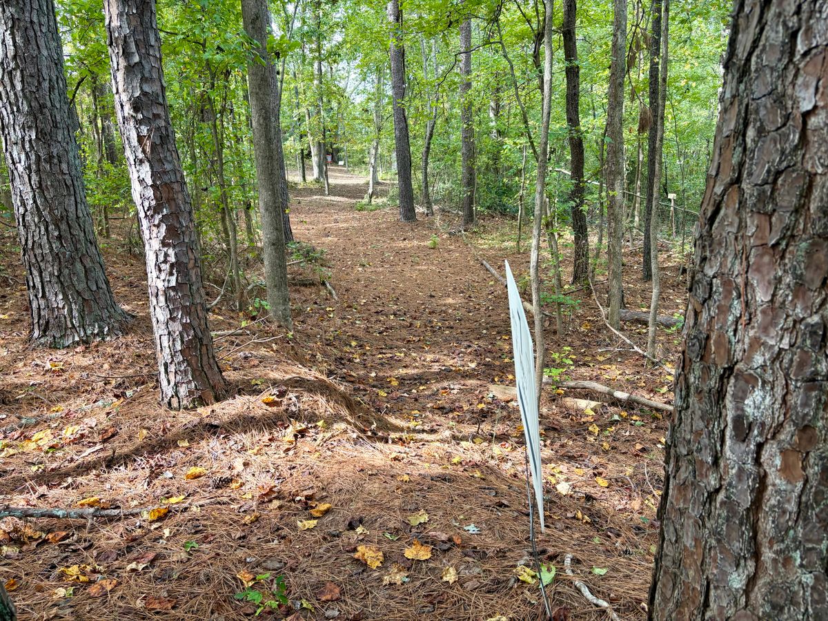 Hole 7 tee