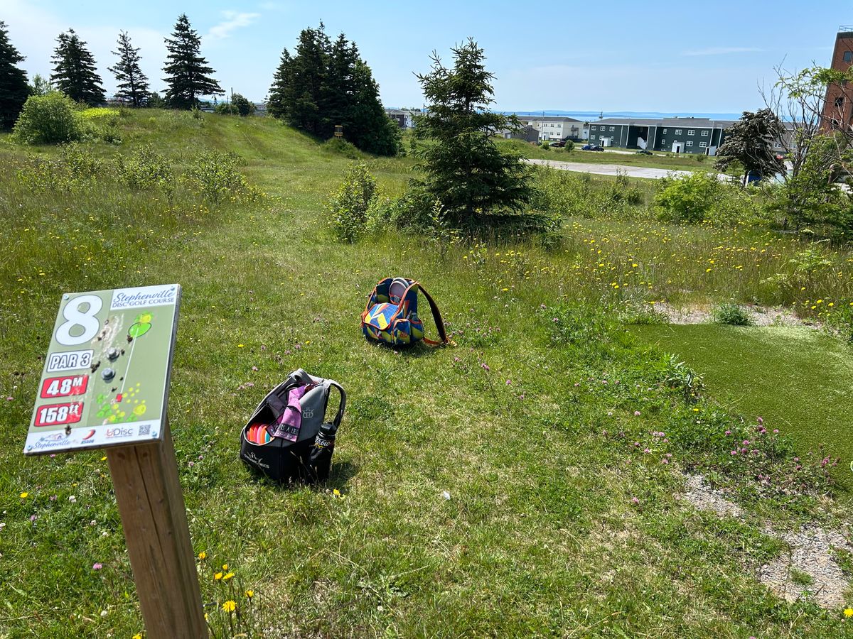 Hole 8 - short