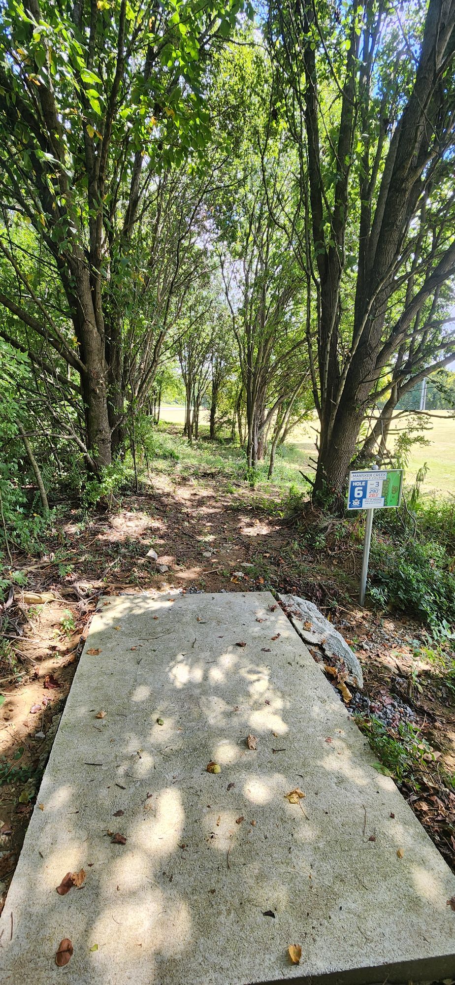 Hole 6