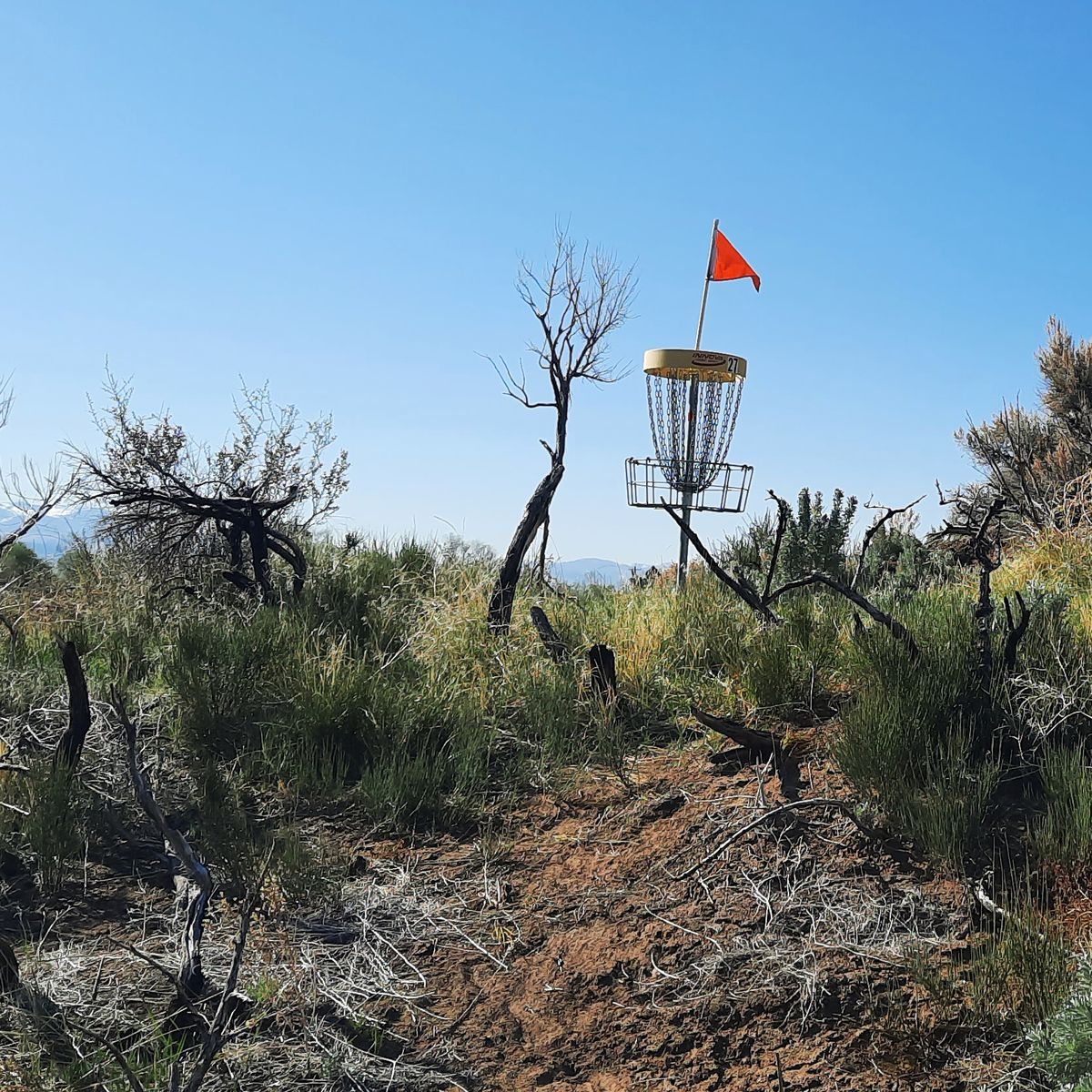 Hole 27. Last chance to get an Ace.