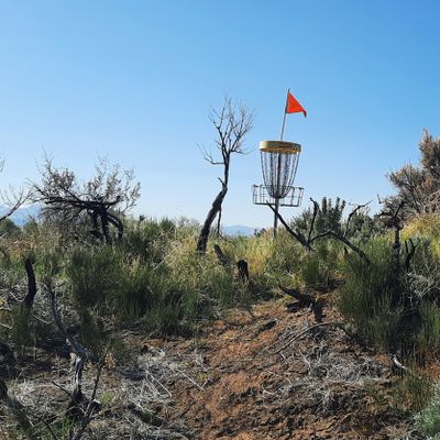 Hole 27. Last chance to get an Ace.