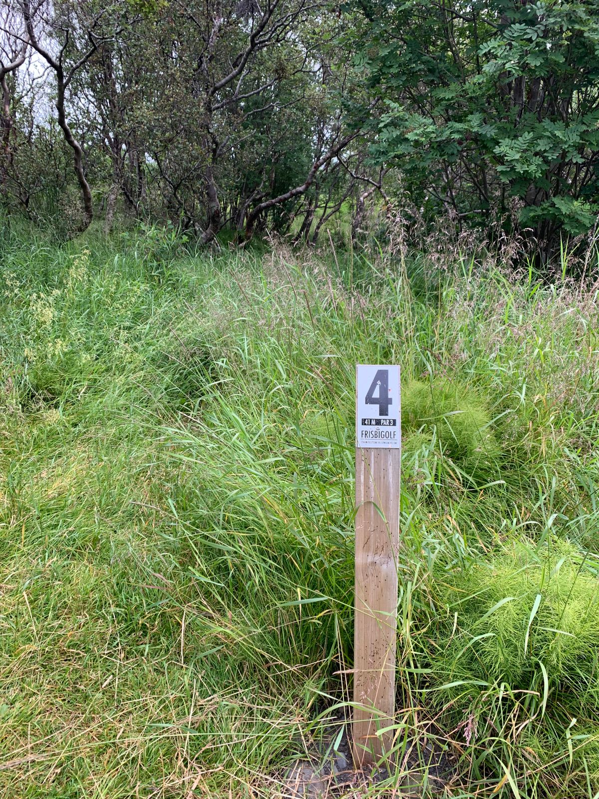 4th tee