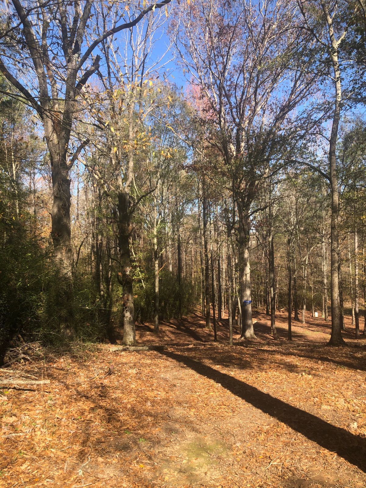Hole 7