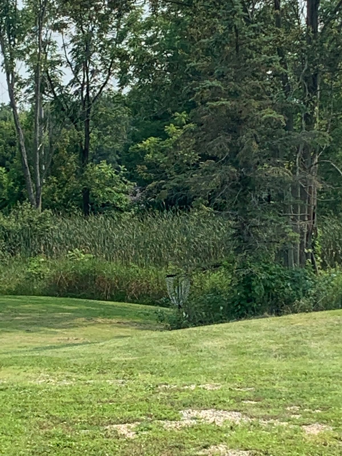 Hole 5