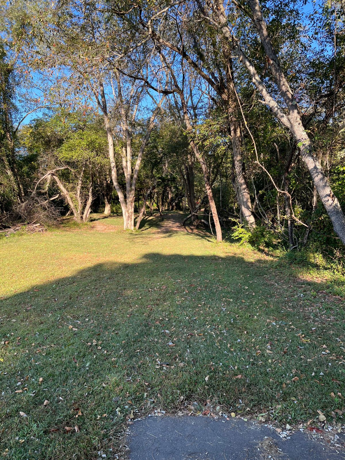 Hole 1 short