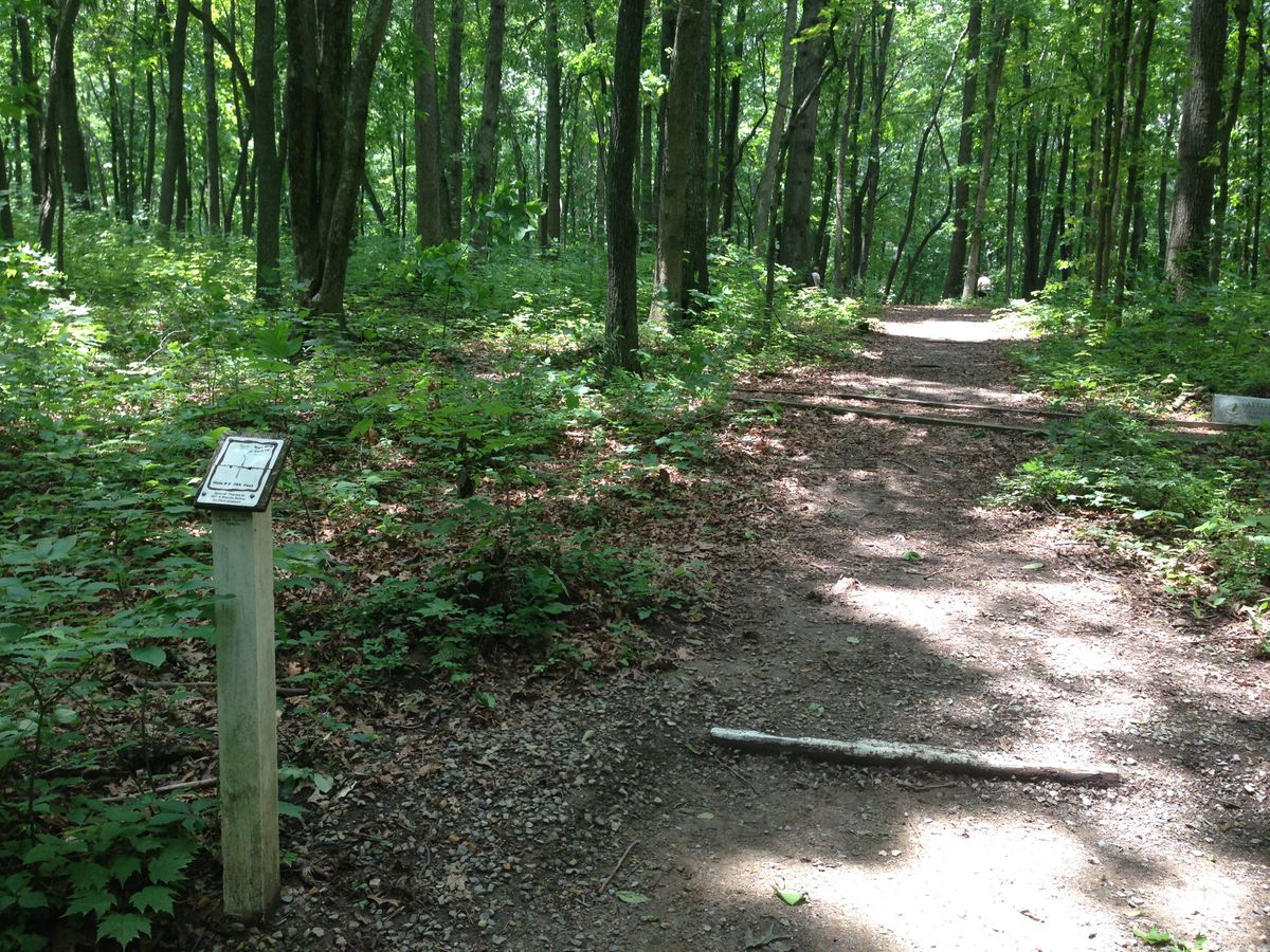Hole 2
