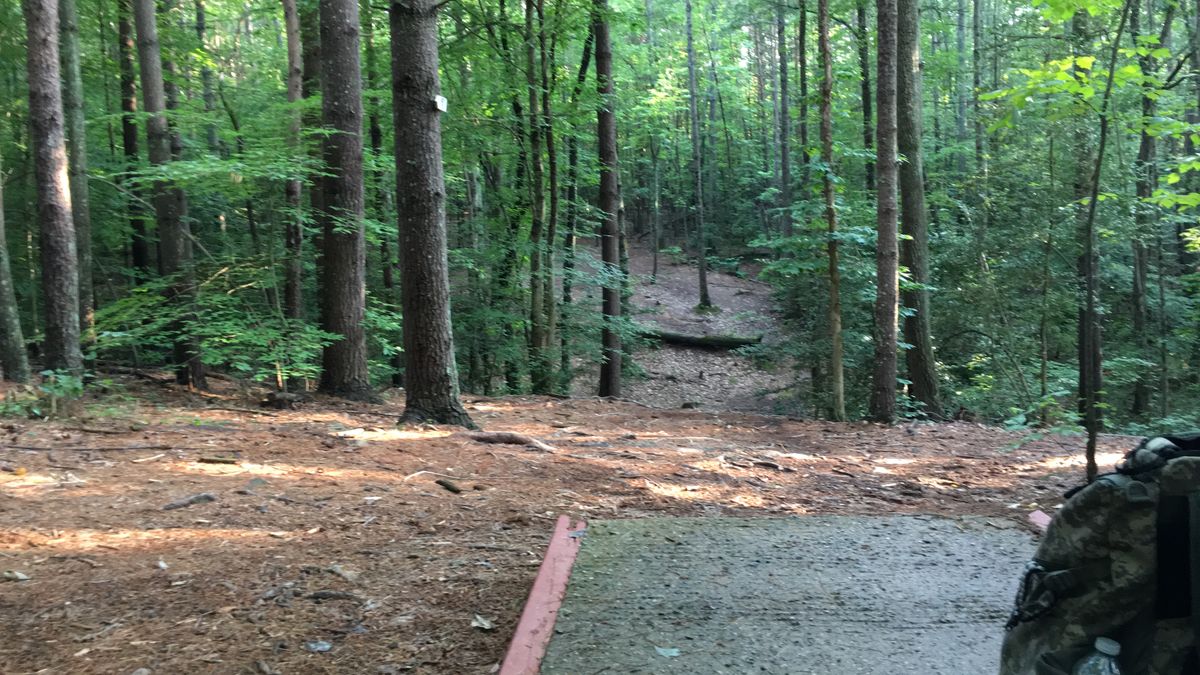 Hole 14