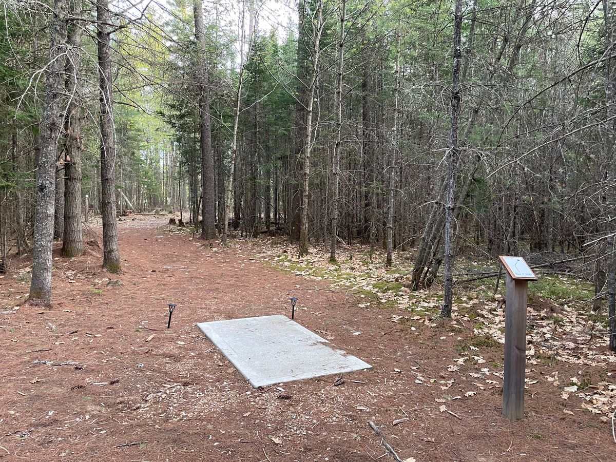 Hole 7 tee