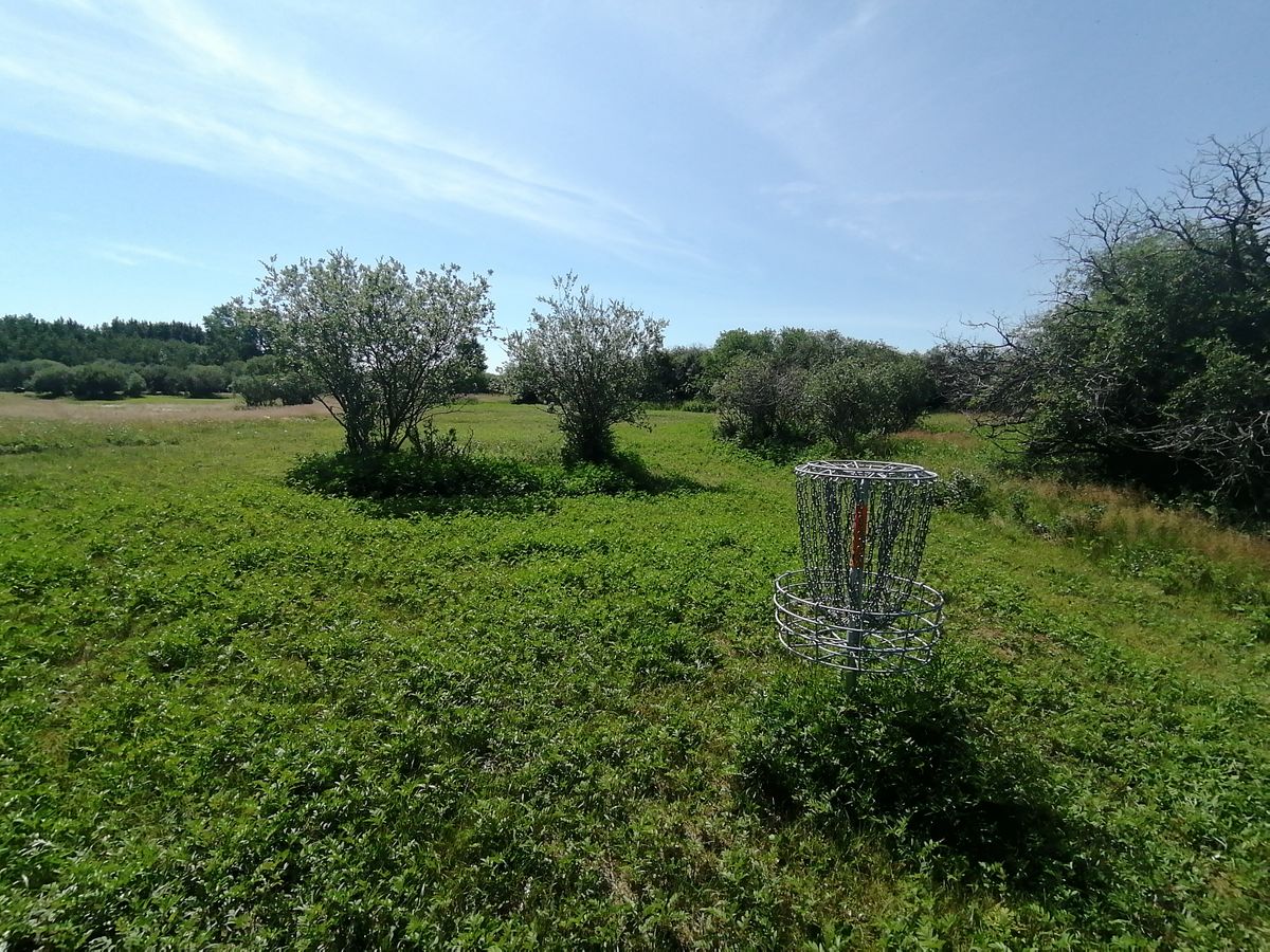 #12 green looking back towards tee box