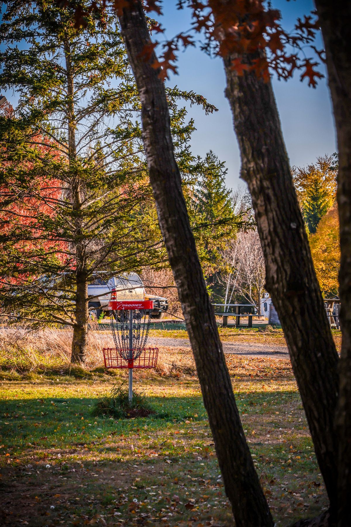 @ShelbyFramesTheDisc