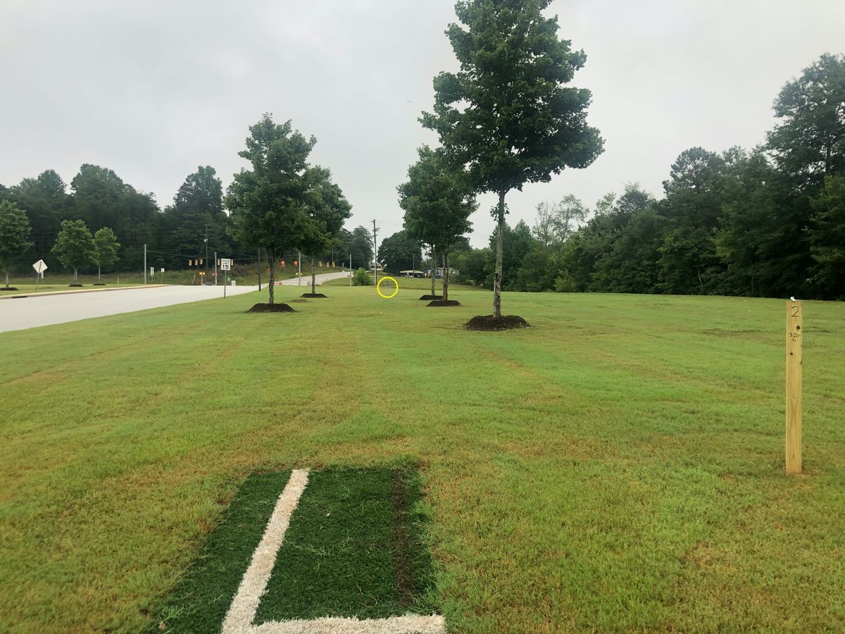 Hole 2 tee