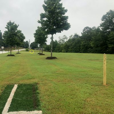 Hole 2 tee