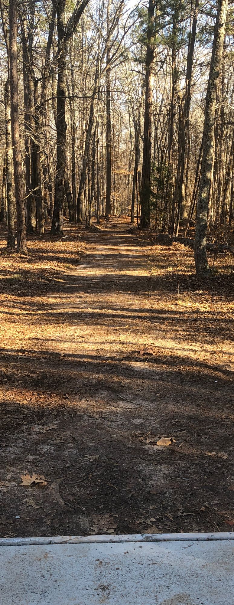 Hole 5 Tee