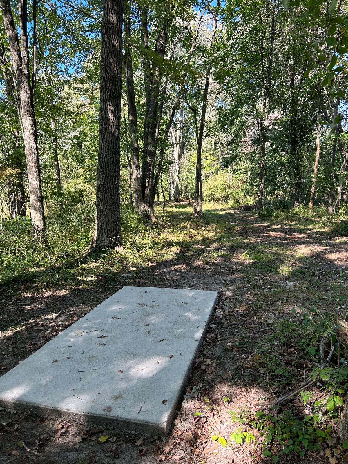 Hole 5