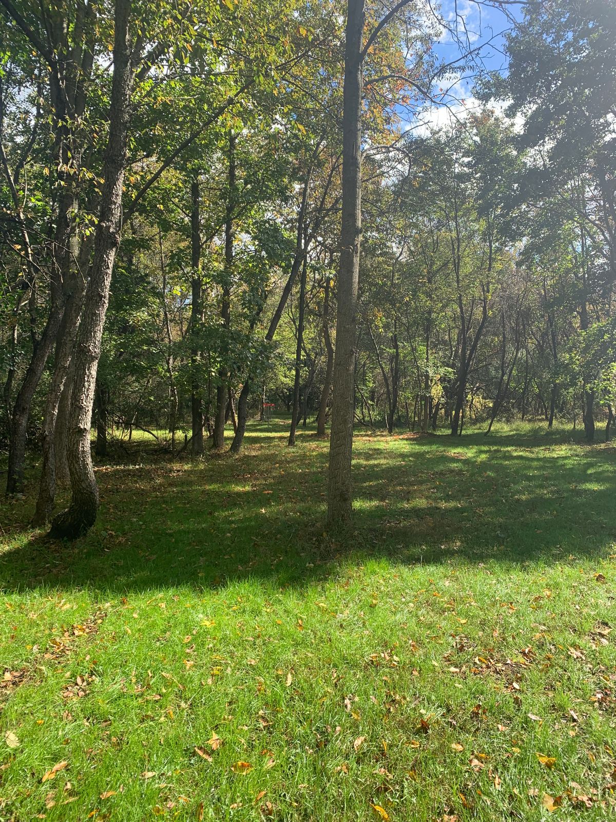 Hole 3 mid Fairway