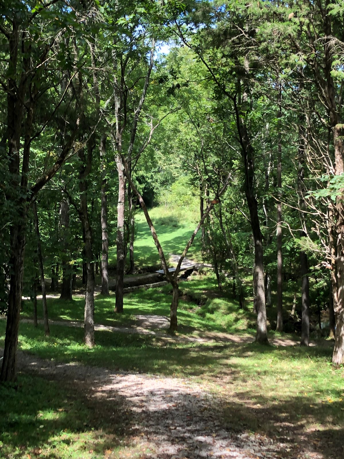 Hole 13 DGPT layout — MANDO!