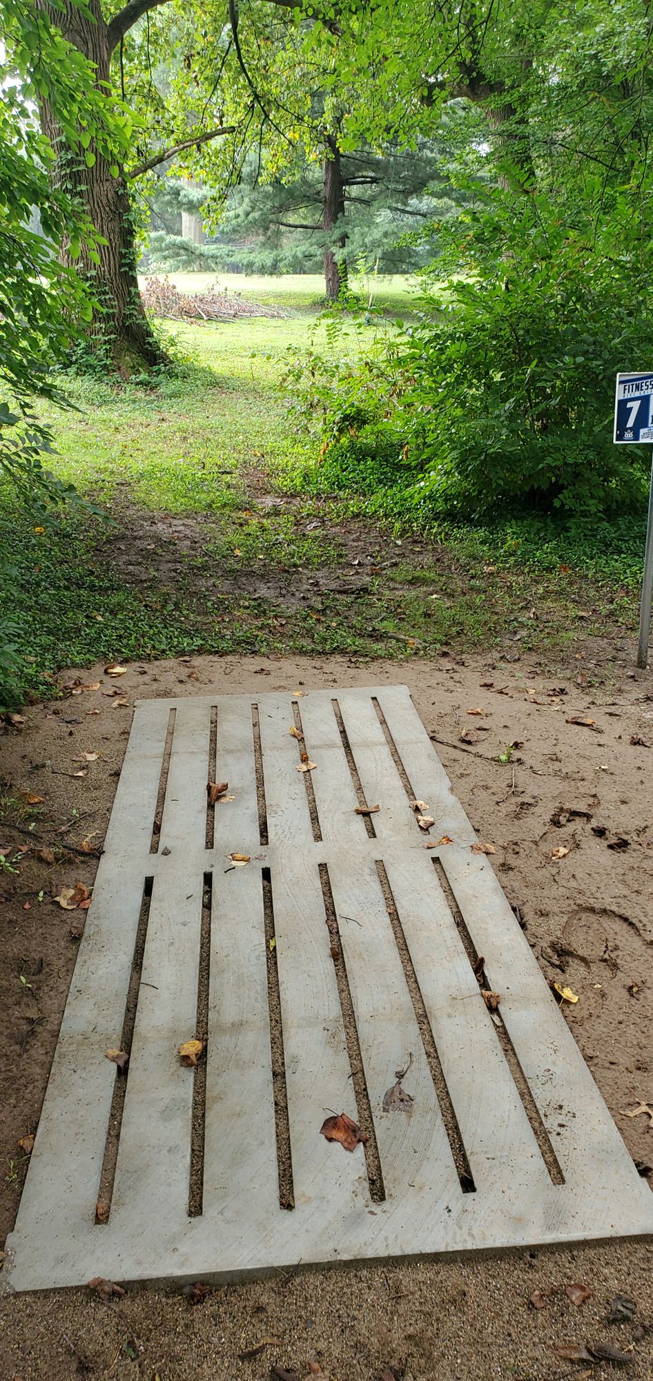 Hole 7 teepad
