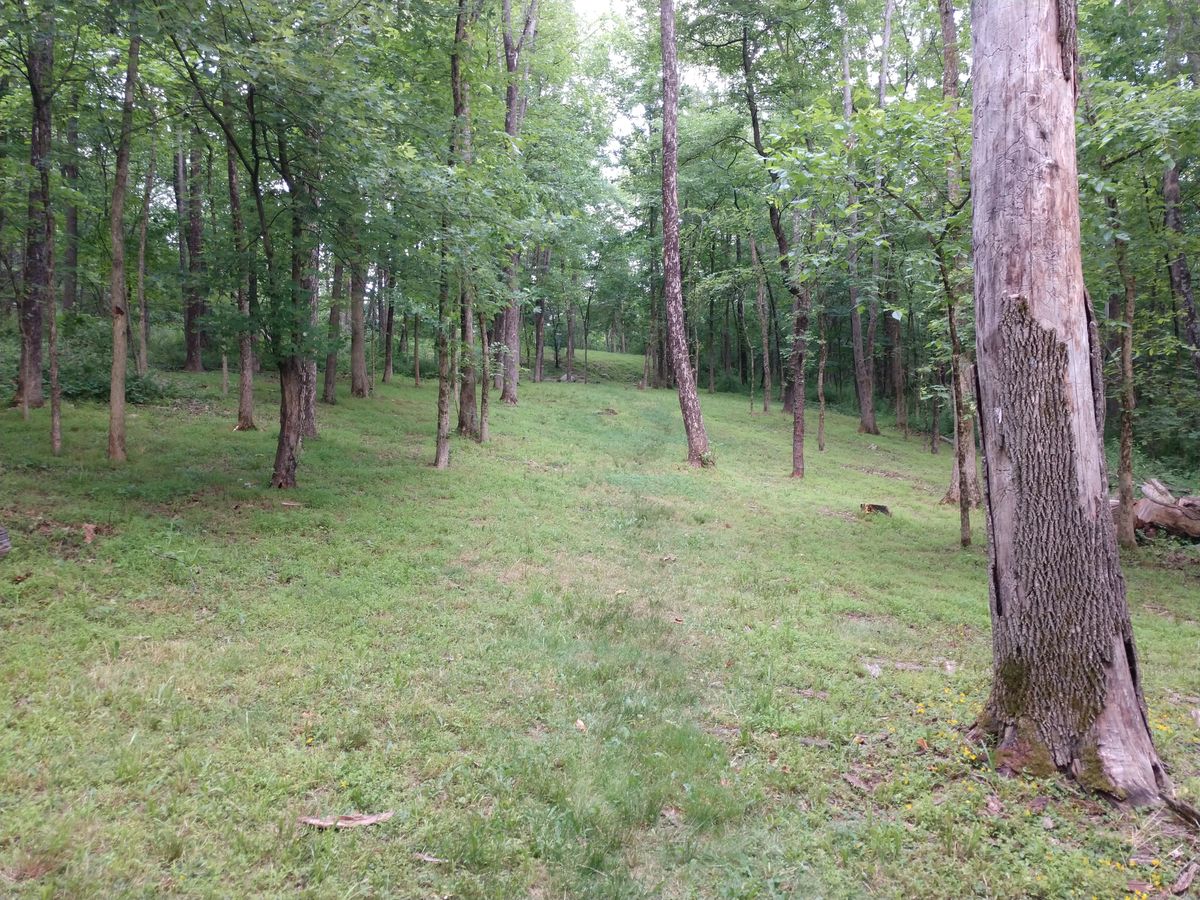 Hole 6 uphill part of the fairway