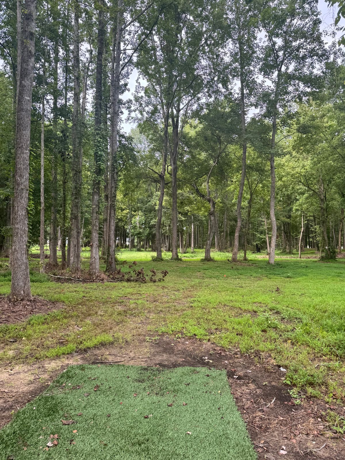 Hole 16 B pad